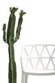стул Connubia ALCHEMIA CB1056